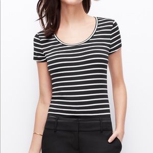 Ann Taylor Stripe Scoop Neck Tee.